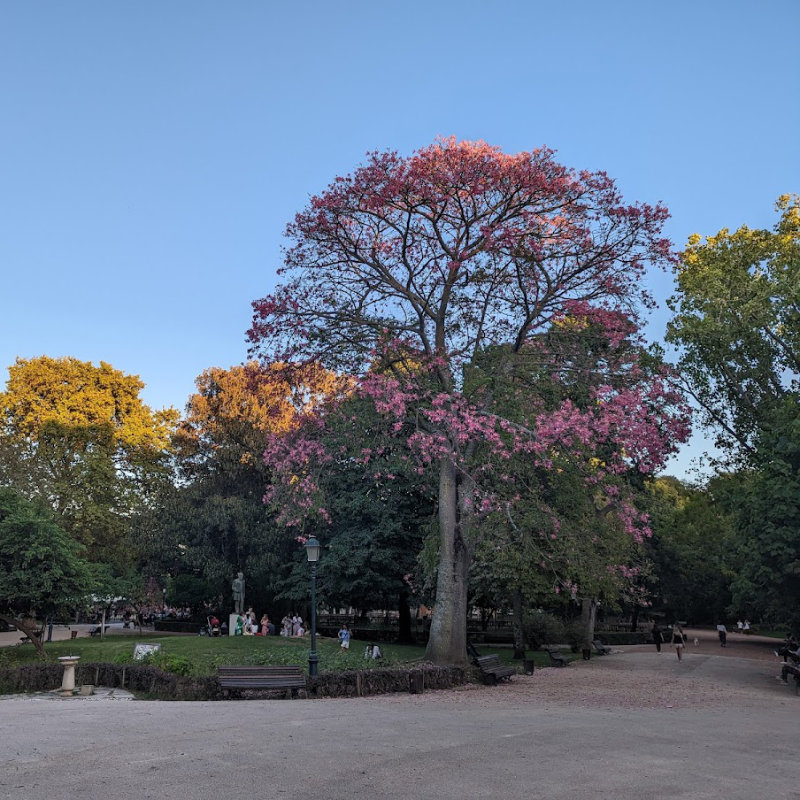 images/nearby/jardim_estrela.jpg#joomlaImage://local-images/nearby/jardim_estrela.jpg?width=800&height=800